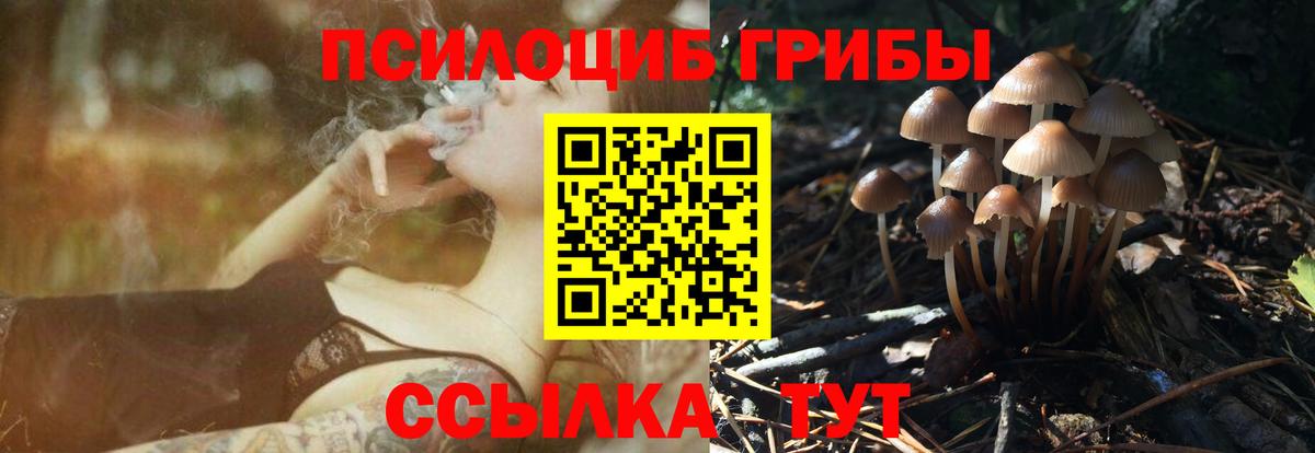 Галлюциногенные грибы Cubensis  Вход с VPN  Дивногорск 